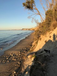 morning beach hike